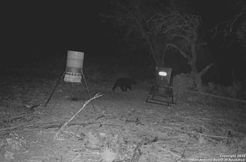 Lot 13 Wild Canyon Ranch Del Rio, TX 78840 - Photo 36 of 39