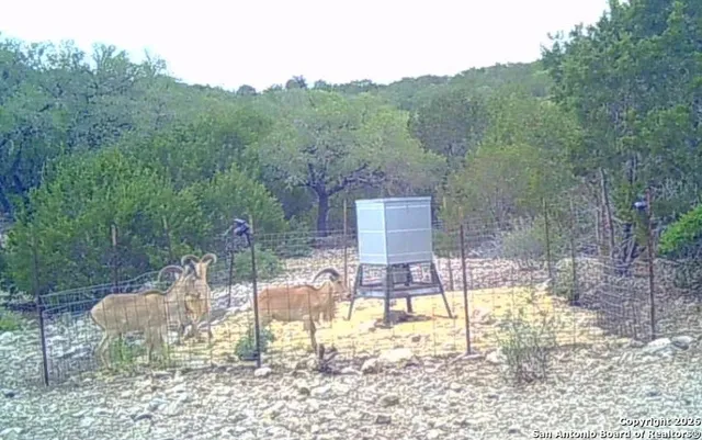 $220,800 | Lot 13 Wild Canyon Ranch, Del Rio, TX 78840