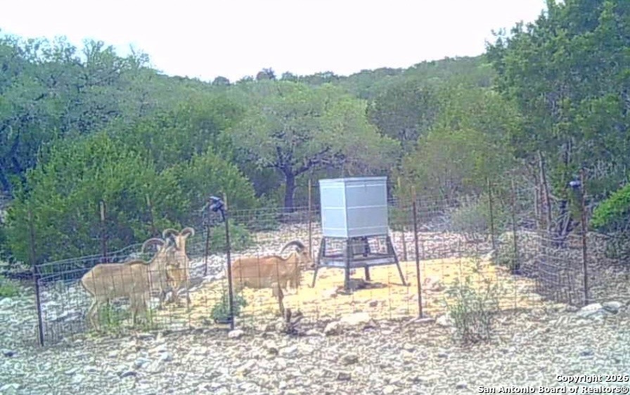 Lot 13 Wild Canyon Ranch Del Rio, TX 78840 - Photo 38 of 39 a view of a patio with a chairs and table in the patio