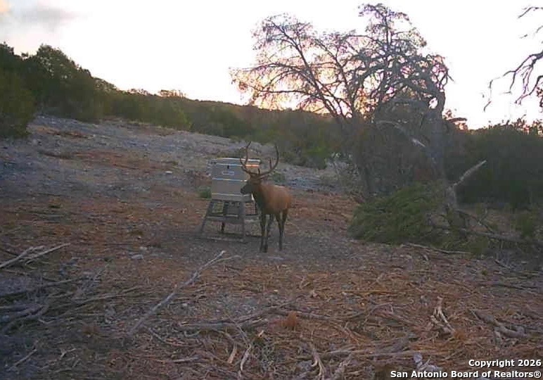 Lot 13 Wild Canyon Ranch Del Rio, TX 78840 - Photo 39 of 39 a view of a yard with a table and chairs