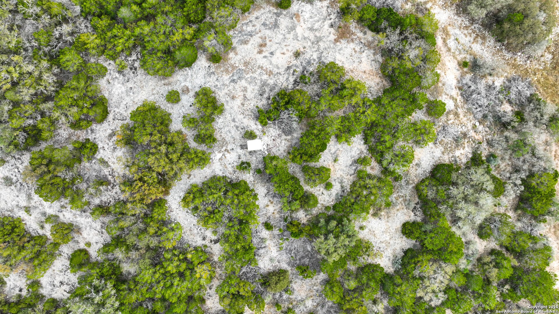 Lot 13 Wild Canyon Ranch Del Rio, TX 78840 - Photo 8 of 39 a view of a plant with a plant