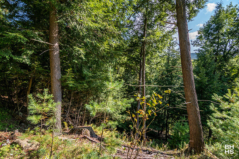 Lot 2 Styles Brook Road Keene, NY 12942 - Photo 6 of 19