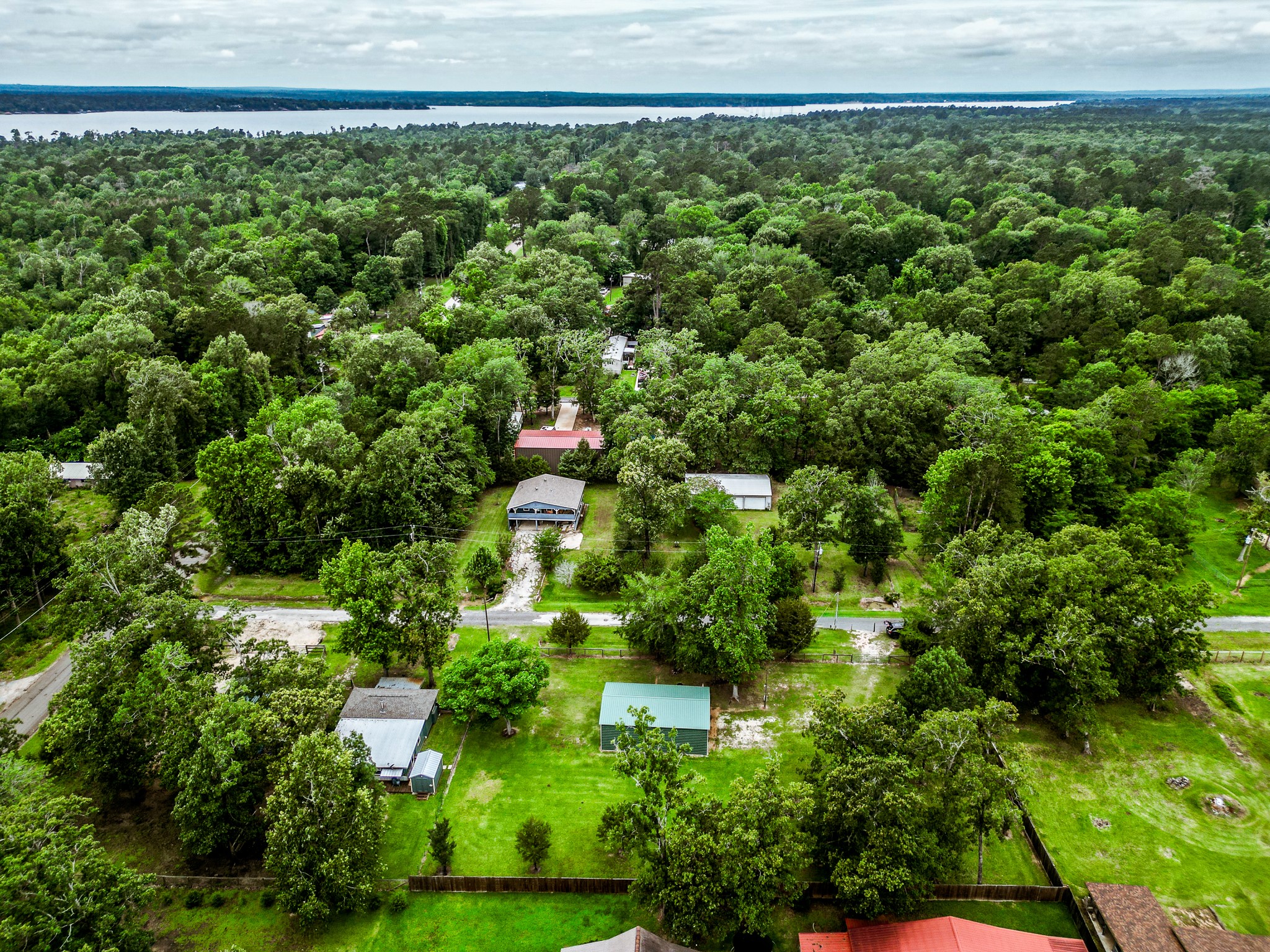 140 6th Street Trinity, TX 75862 - Photo 12 of 13 a view of a yard with plants