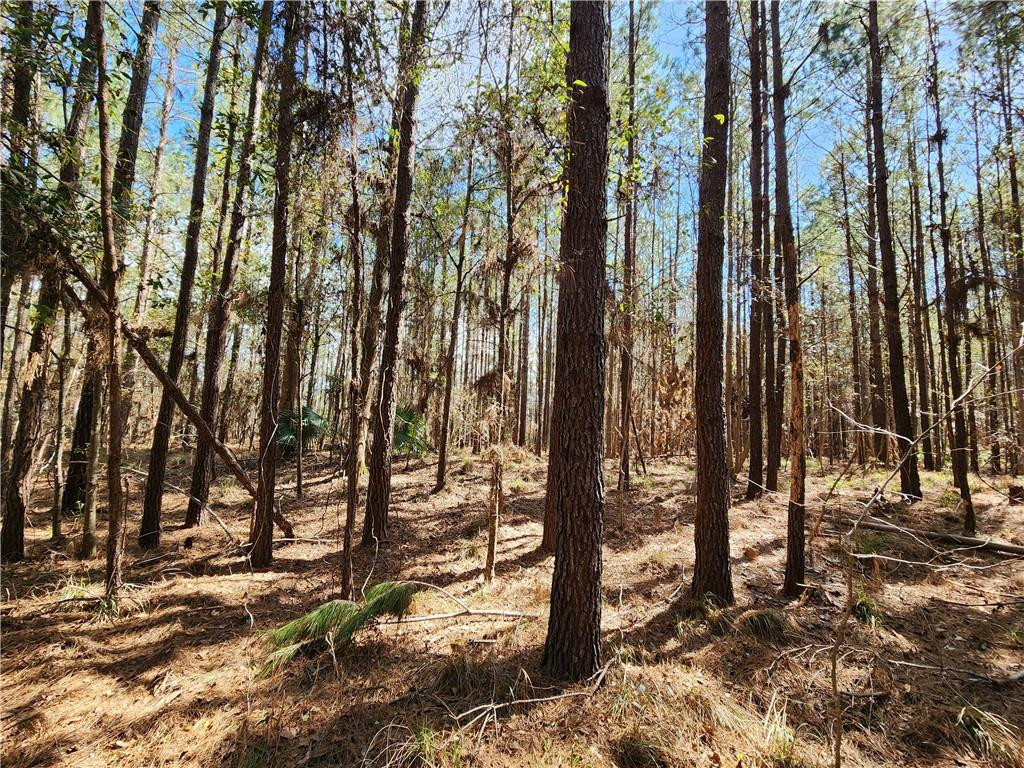 1012 Star Ranch Road Brunswick, GA 31523 - Photo 30 of 43