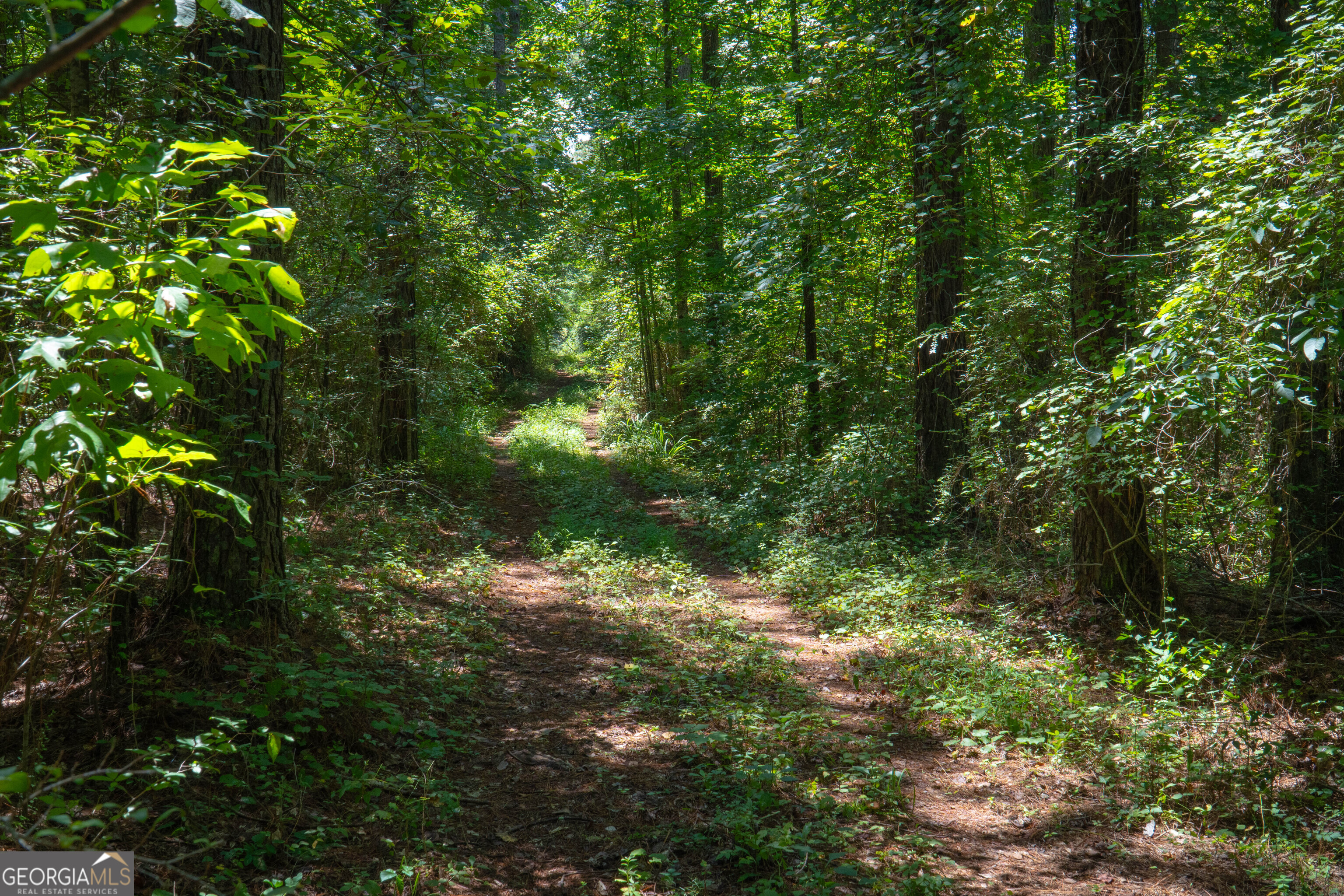 132 Hines Road Hogansville, GA 30230 - Photo 18 of 31 a view of a forest with lots of trees