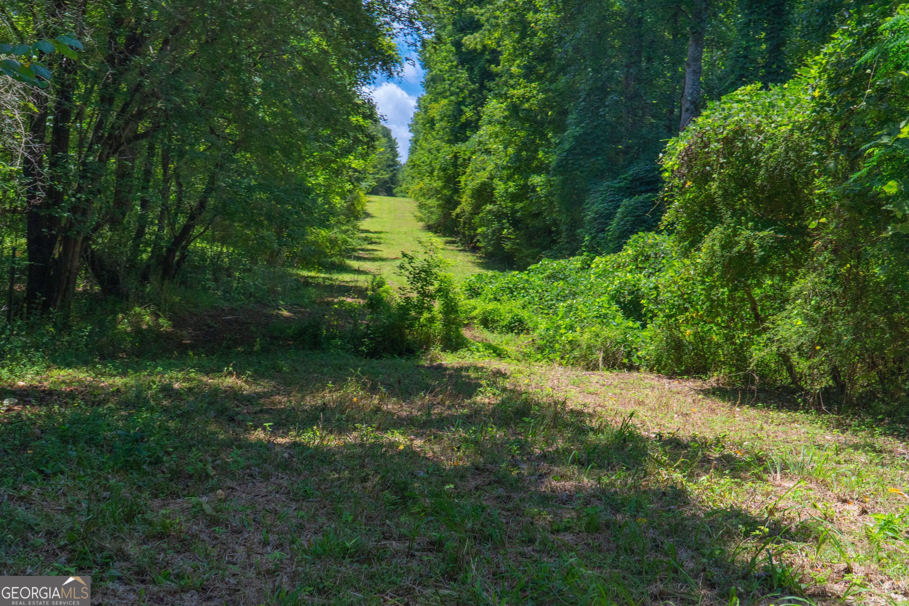 132 Hines Road Hogansville, GA 30230 - Photo 19 of 31 a view of a lush green space