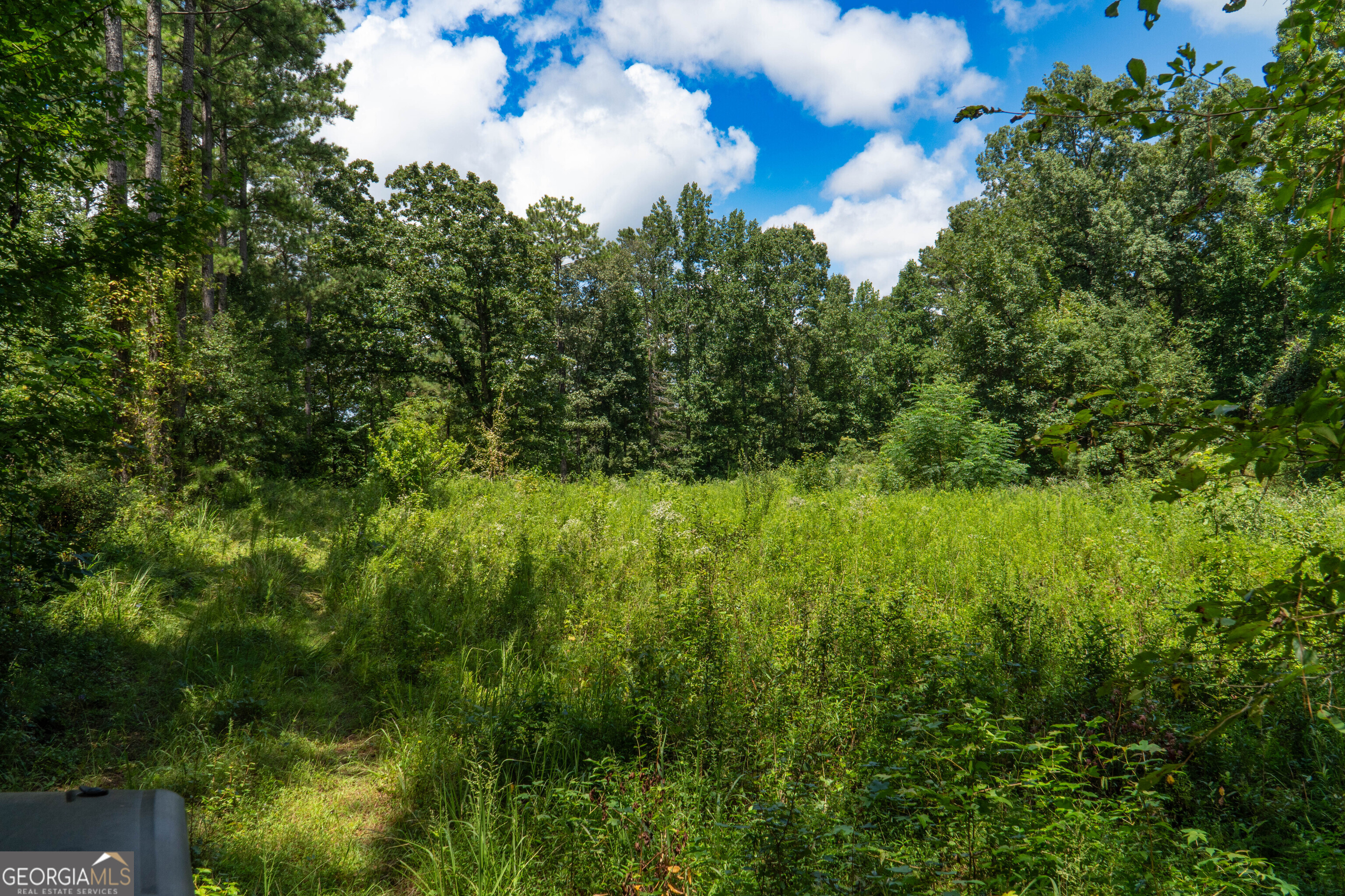 132 Hines Road Hogansville, GA 30230 - Photo 26 of 31 a view of a lush green forest with lawn chairs under an umbrella