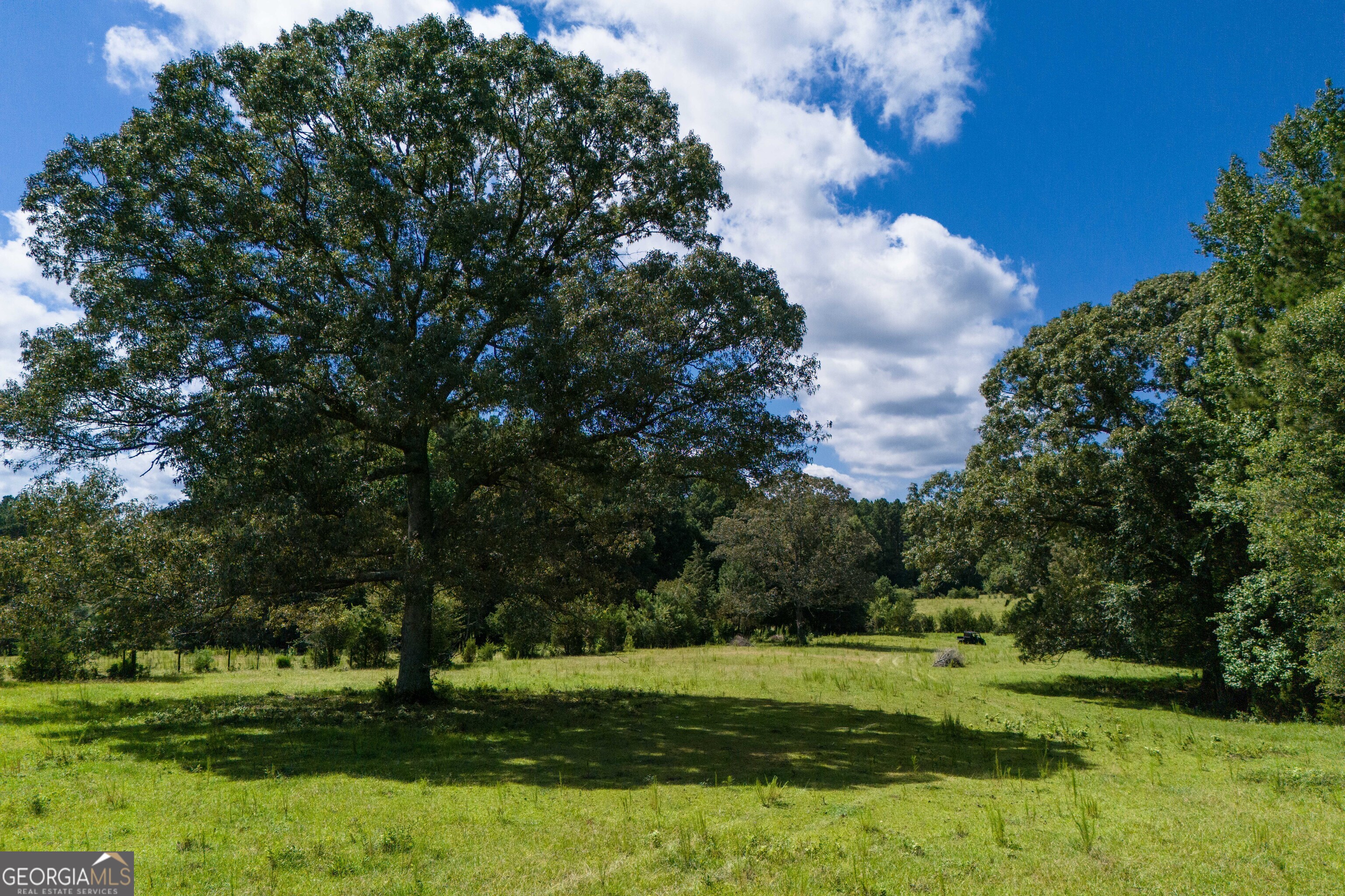 132 Hines Road Hogansville, GA 30230 - Photo 7 of 31 a big yard with lots of green space and trees