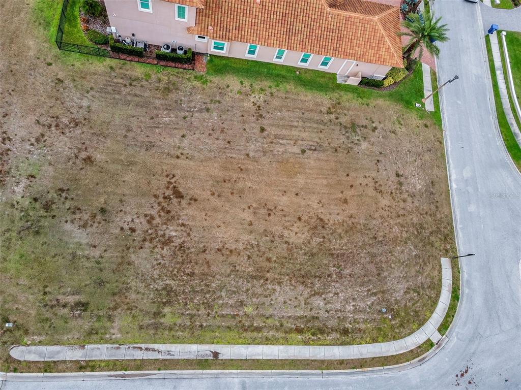 10610 Sabella Drive Trinity, FL 34655 - Photo 21 of 46 a view of a yard
