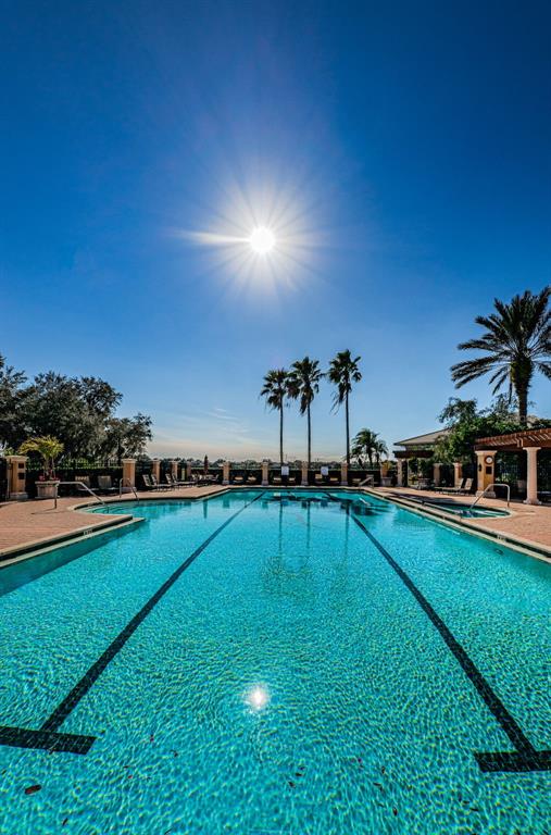 10610 Sabella Drive Trinity, FL 34655 - Photo 39 of 46 a view of a playground with a swimming pool