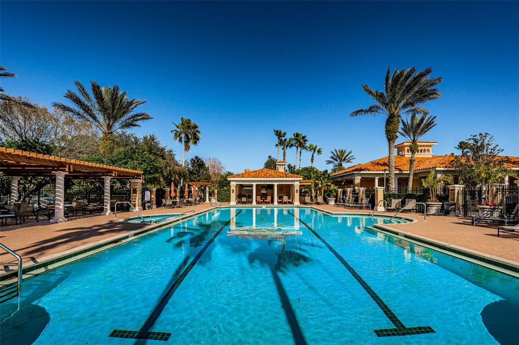 10610 Sabella Drive Trinity, FL 34655 - Photo 42 of 46 a view of a house with pool and chairs