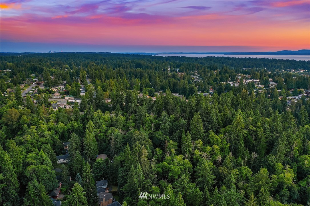 21031 Shell Valley Way Edmonds, WA 98026 - Photo 31 of 32 a view of a city with lush green forest