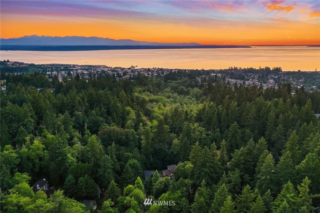 21031 Shell Valley Way Edmonds, WA 98026 - Photo 32 of 32 a view of an ocean and a mountain