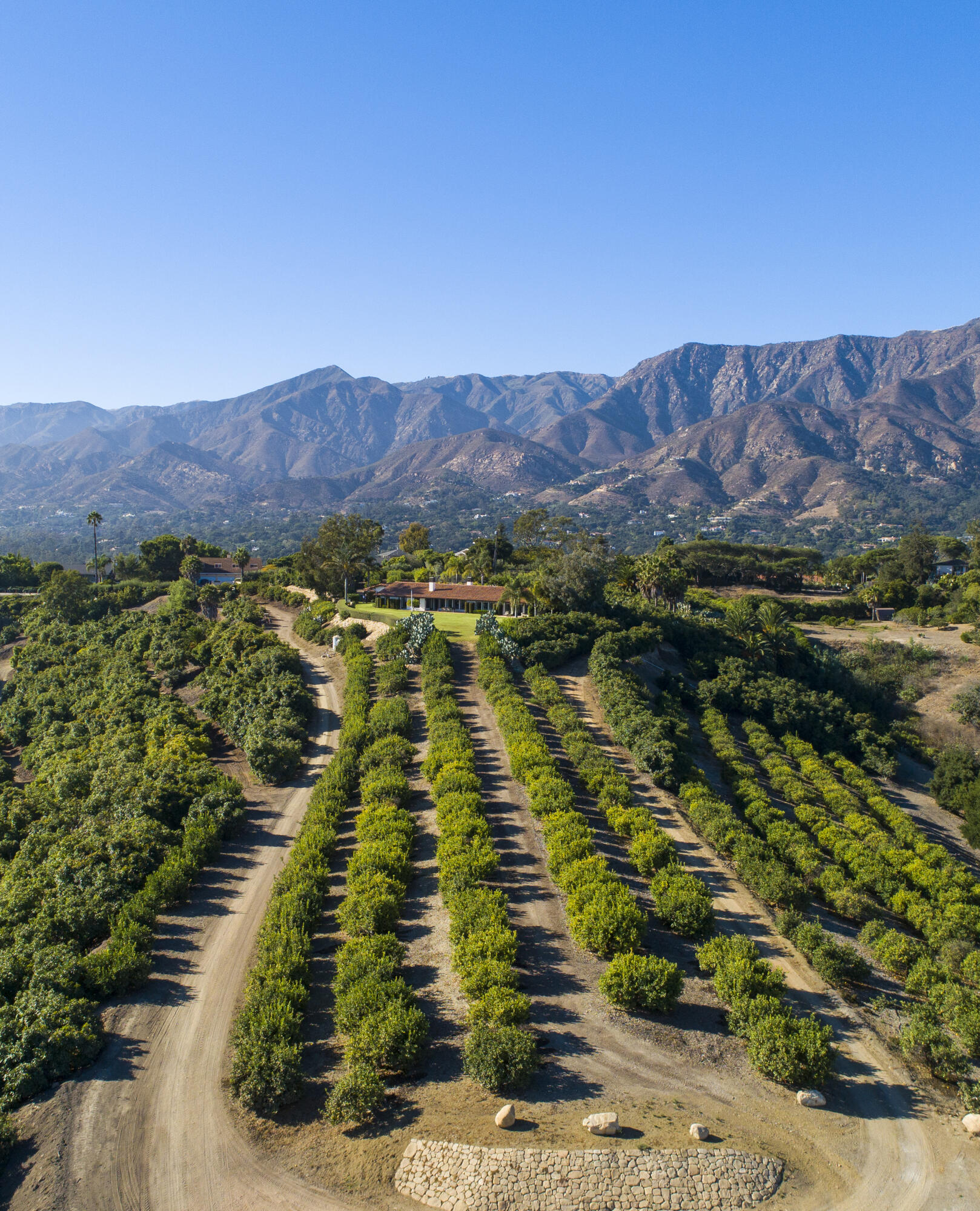 370 Ortega Ridge Road Montecito, CA 93108 - Photo 12 of 17 Orchard
