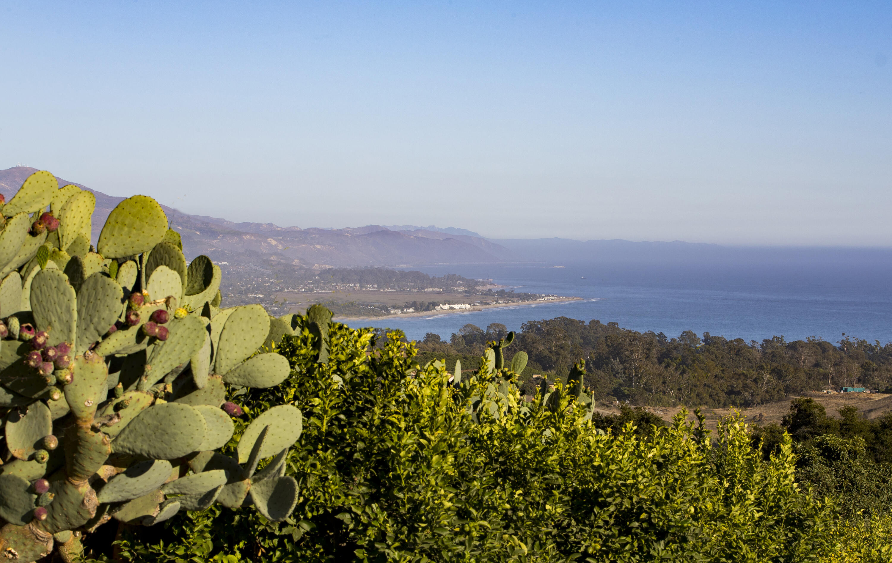 370 Ortega Ridge Road Montecito, CA 93108 - Photo 16 of 17 Coastline View