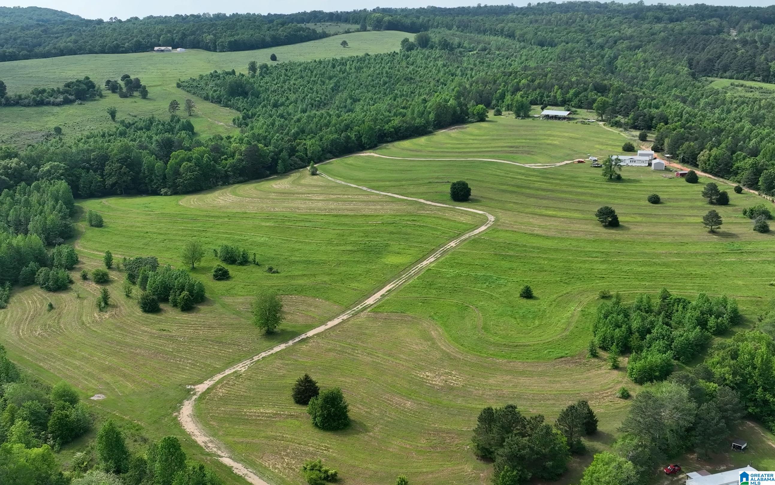 1895 Marvin Adcock Road, Unit 9 ACRES Hayden, AL 35079 - Photo 9 of 18