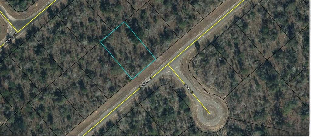 Durham Drive Chipley, FL 32428 - Photo 3 of 3