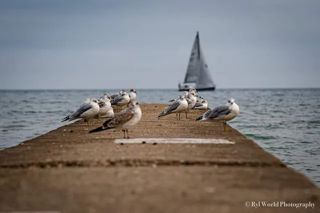 $184,900 | 1340 West Touhy Avenue, Unit 302, Chicago, IL 60626