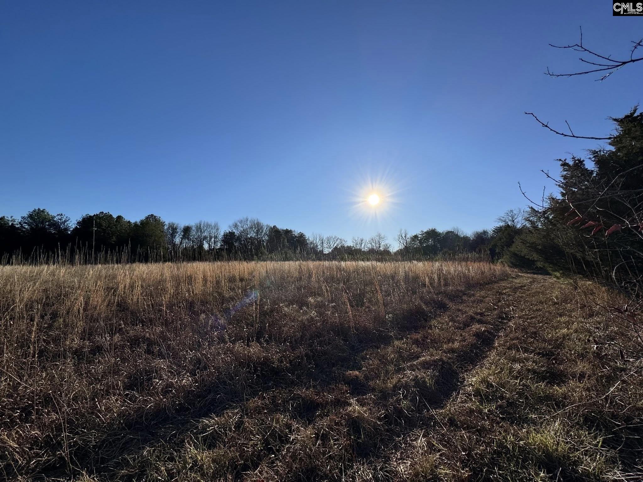 150 Floyd Lanford Road Woodruff, SC 29388 - Photo 8 of 65