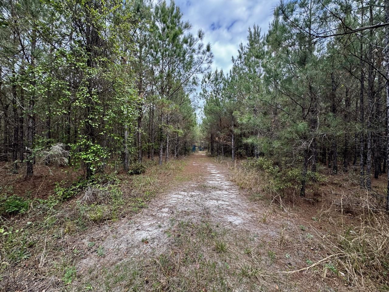 Vacant Southwest Vacant Sw Captain Brown Road Madison, FL 32340 - Photo 4 of 37