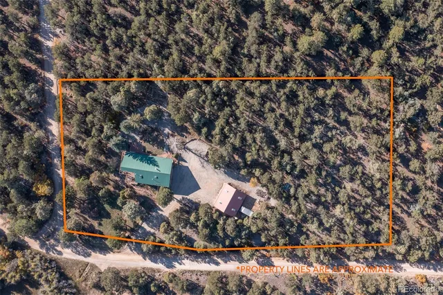 a city view with a tree