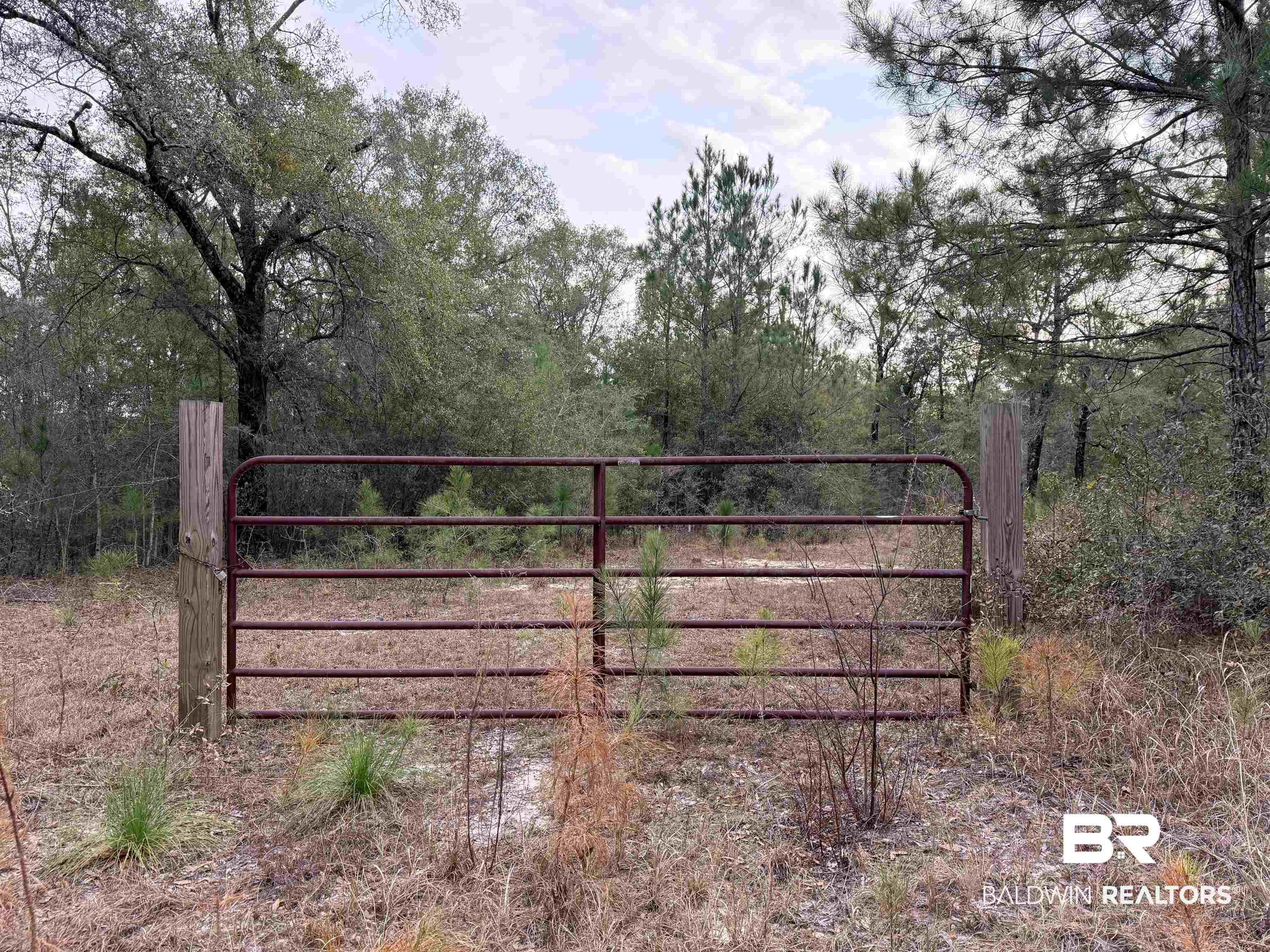 9325 Georgetown Hills Road West Wilmer, AL 36587 - Photo 1 of 11