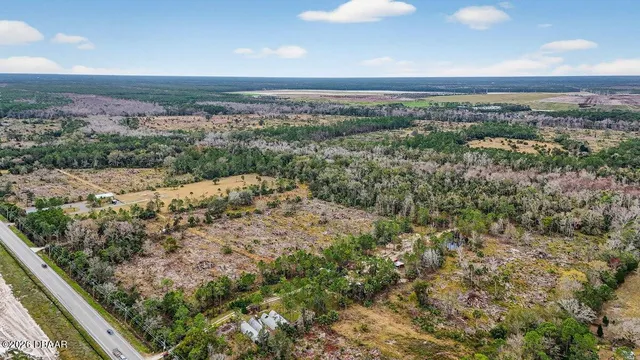 a view of a city with lush green forest