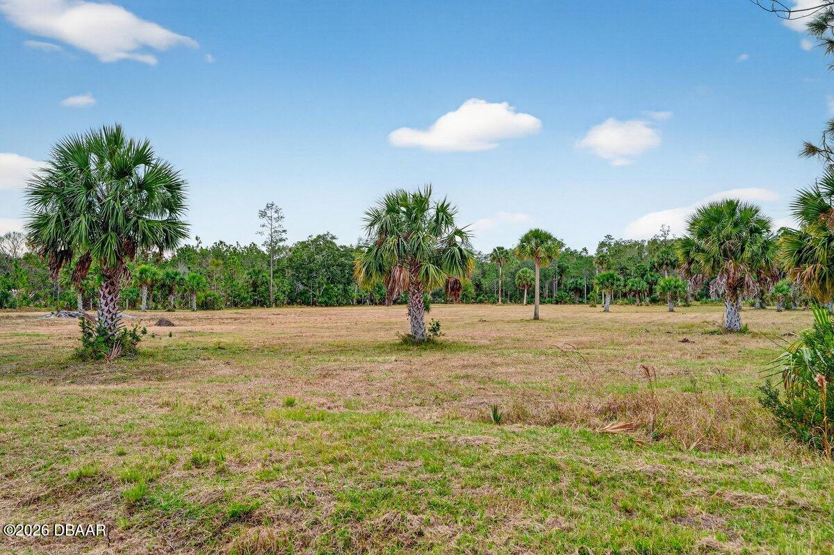 1700 Tomoka Farms Road Port Orange, FL 32128 - Photo 43 of 43 a view of a garden with a tree