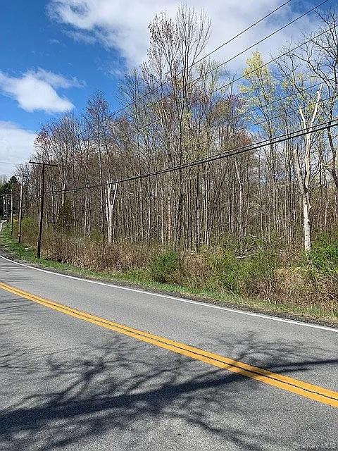 1 Middlebush Road Wappingers Falls, NY 12590 - Photo 3 of 3
