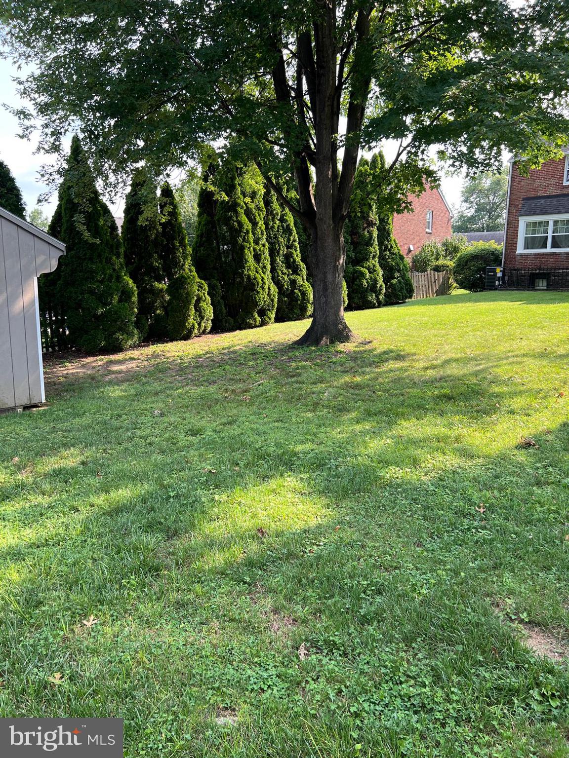 1615 Earlington Road Havertown, PA 19083 - Photo 55 of 72 a view of a trees with a yard