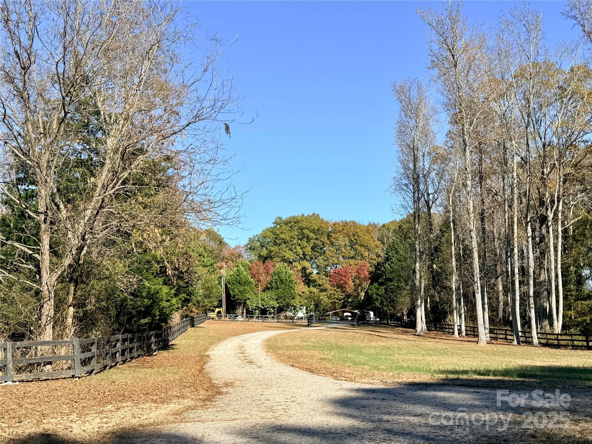 249 Brown Neal Road York, SC 29745 - Photo 4 of 24 a view of a yard with large trees