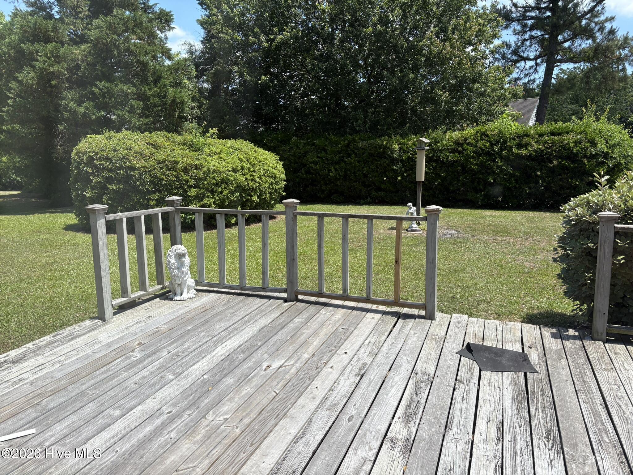 2900 Carthage Drive Wilmington, NC 28405 - Photo 24 of 29 IMG_1939