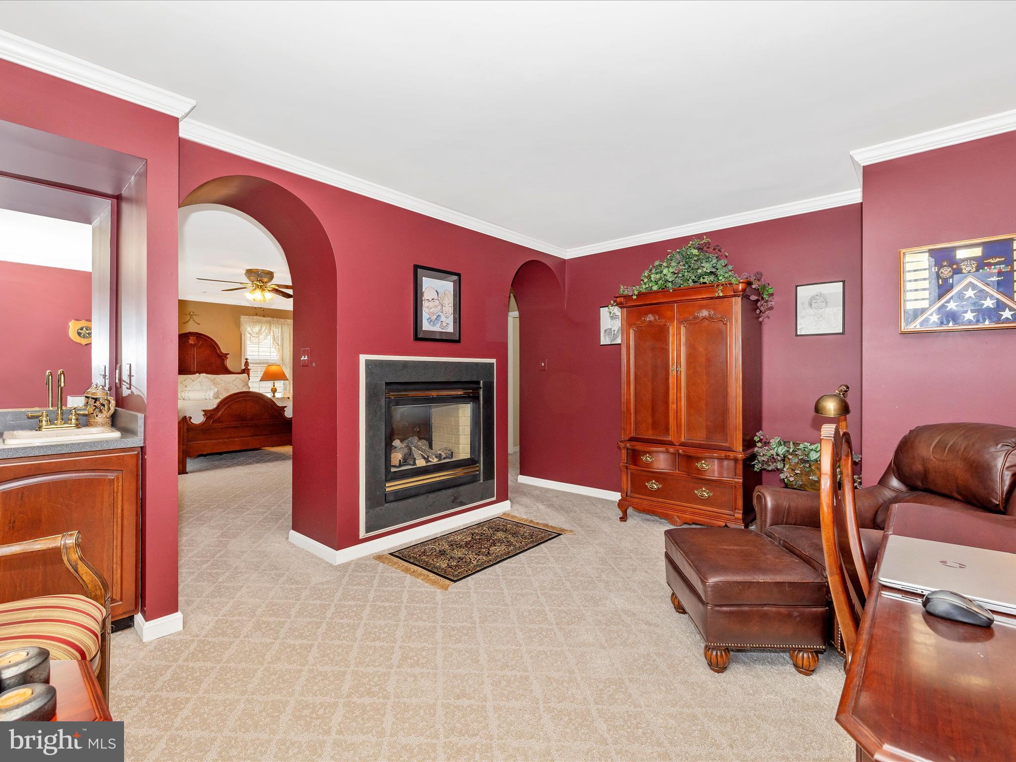2594 Bear Den Road Frederick, MD 21701 - Photo 27 of 72 a living room with furniture a fireplace and a potted plant