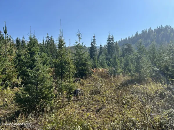 $168,500 | 3 Usfs 2294 Clark Fork, Clark Fork, ID 83811