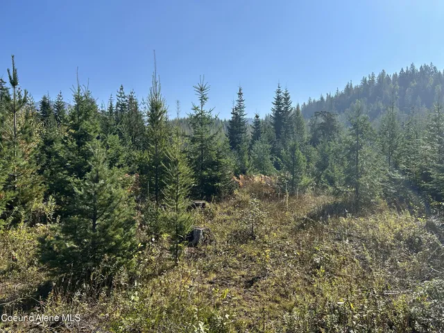 $168,500 | 3 Usfs 2294 Clark Fork, Clark Fork, ID 83811