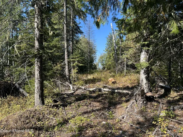 $168,500 | 3 Usfs 2294 Clark Fork, Clark Fork, ID 83811