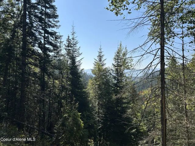 $168,500 | 3 Usfs 2294 Clark Fork, Clark Fork, ID 83811