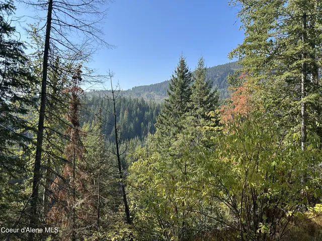 $168,500 | 3 Usfs 2294 Clark Fork, Clark Fork, ID 83811