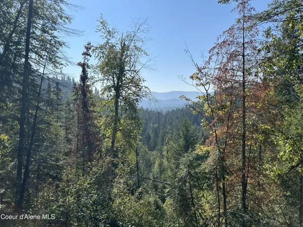 $168,500 | 3 Usfs 2294 Clark Fork, Clark Fork, ID 83811