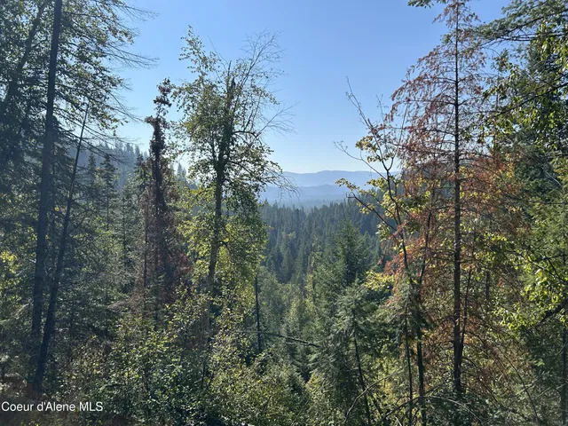 $168,500 | 3 Usfs 2294 Clark Fork, Clark Fork, ID 83811