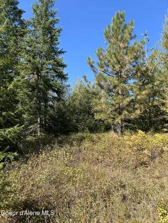 $168,500 | 3 Usfs 2294 Clark Fork, Clark Fork, ID 83811
