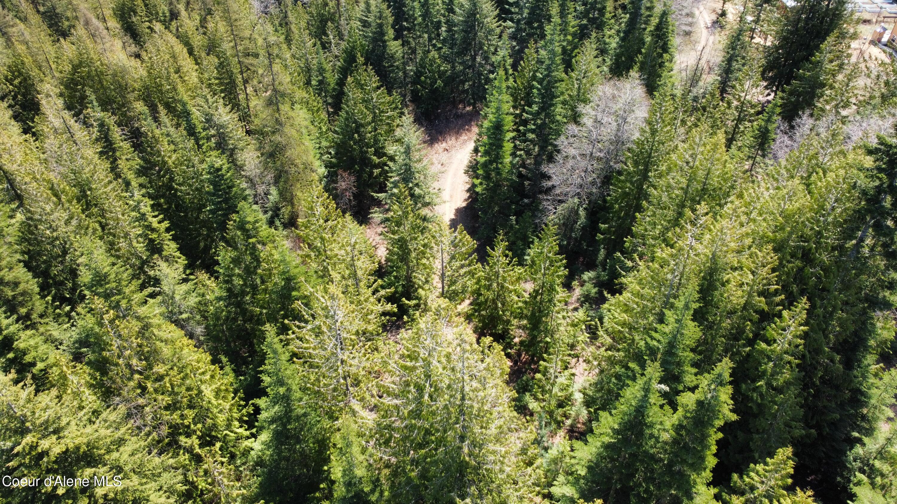 Nka Alder Creek Road St. Maries, ID 83861 - Photo 11 of 16 dji_fly_20250423_110730_705_174543217648