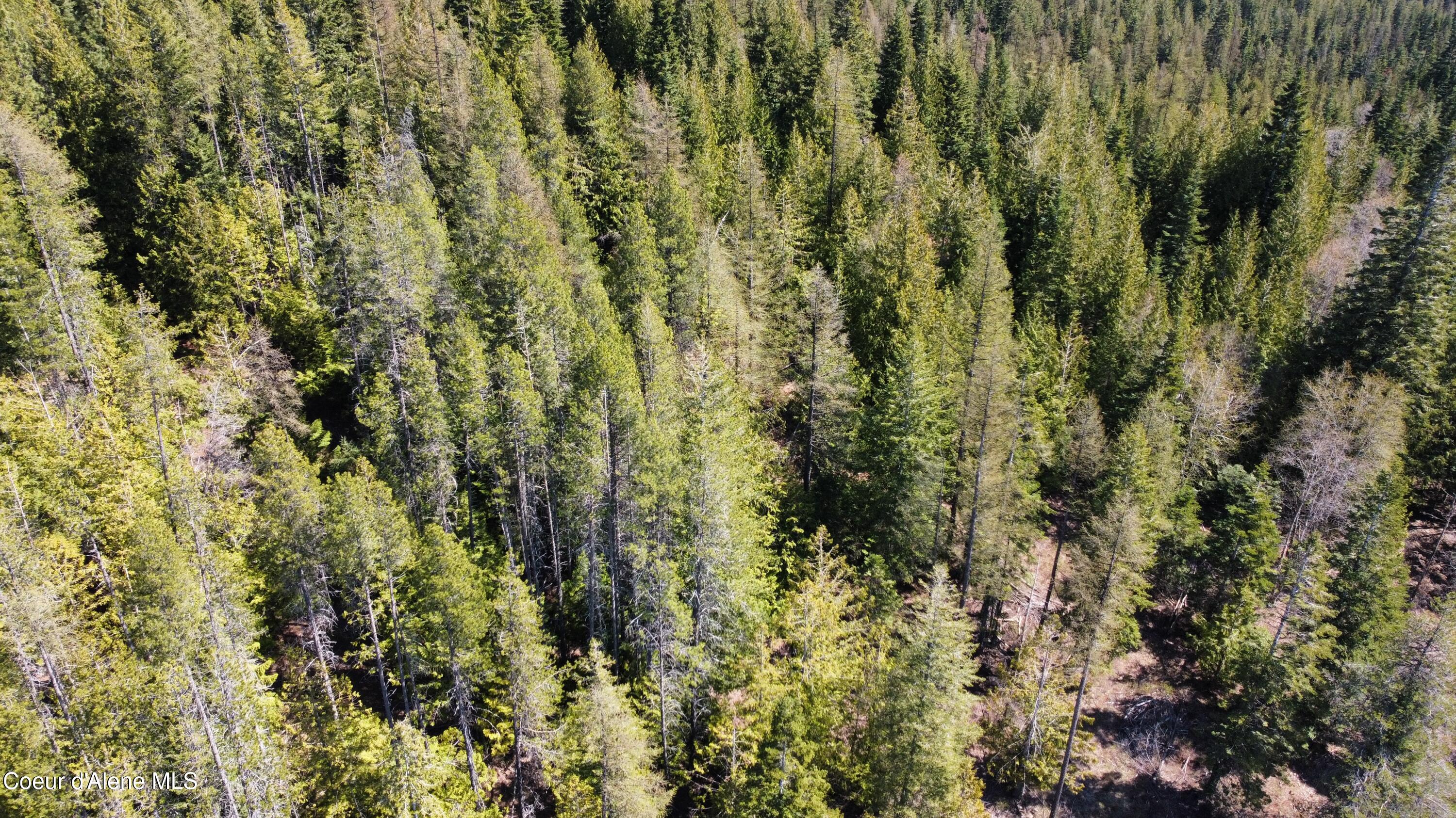 Nka Alder Creek Road St. Maries, ID 83861 - Photo 12 of 16 dji_fly_20250423_111148_714_174543216301