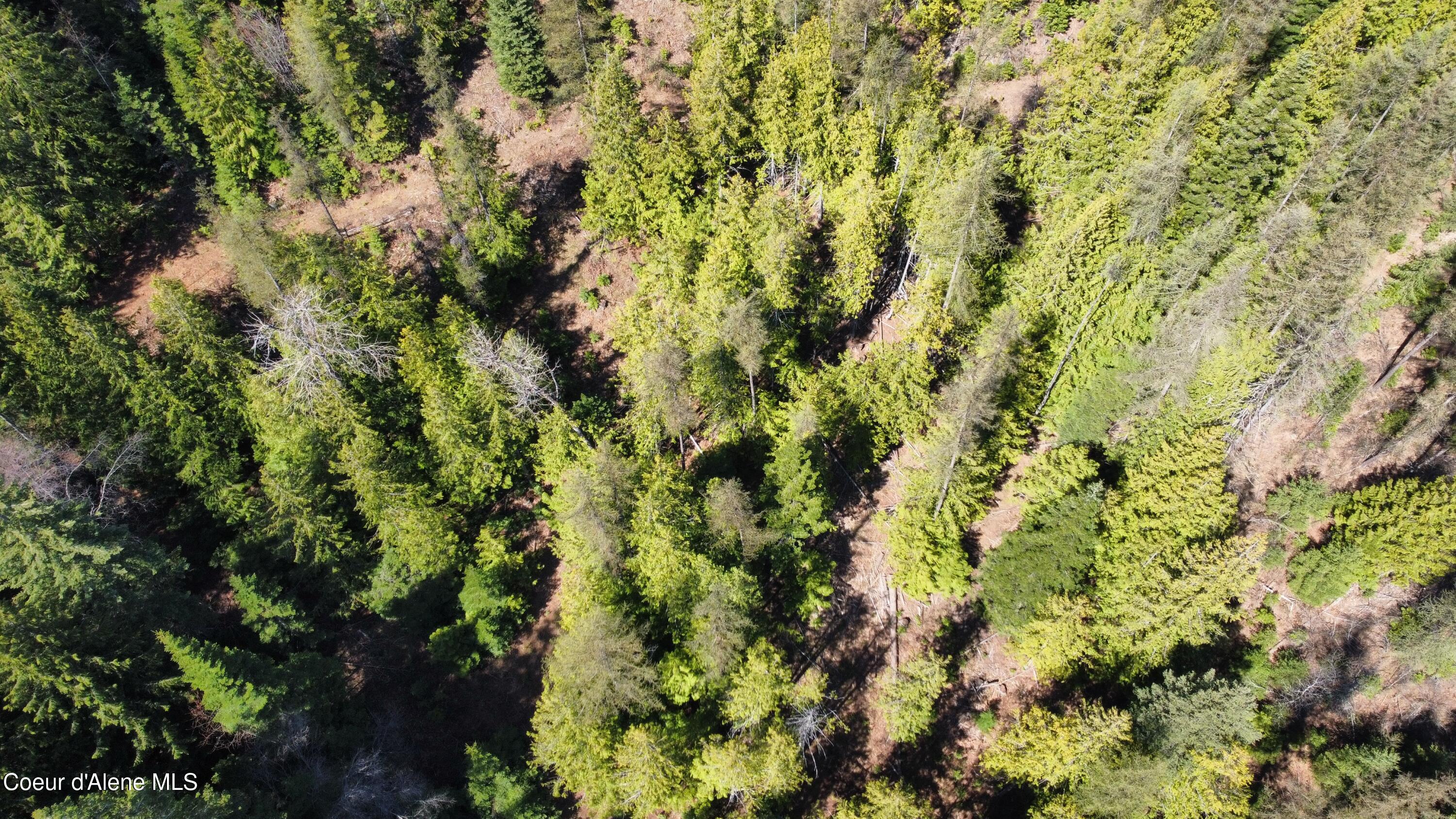 Nka Alder Creek Road St. Maries, ID 83861 - Photo 13 of 16 dji_fly_20250423_111058_713_174543216399