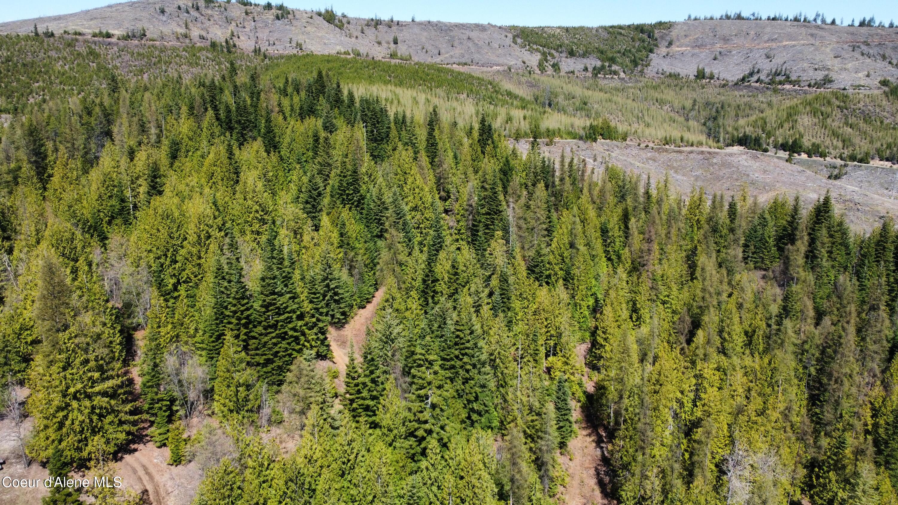 Nka Alder Creek Road St. Maries, ID 83861 - Photo 14 of 16 dji_fly_20250423_110936_710_174543216735