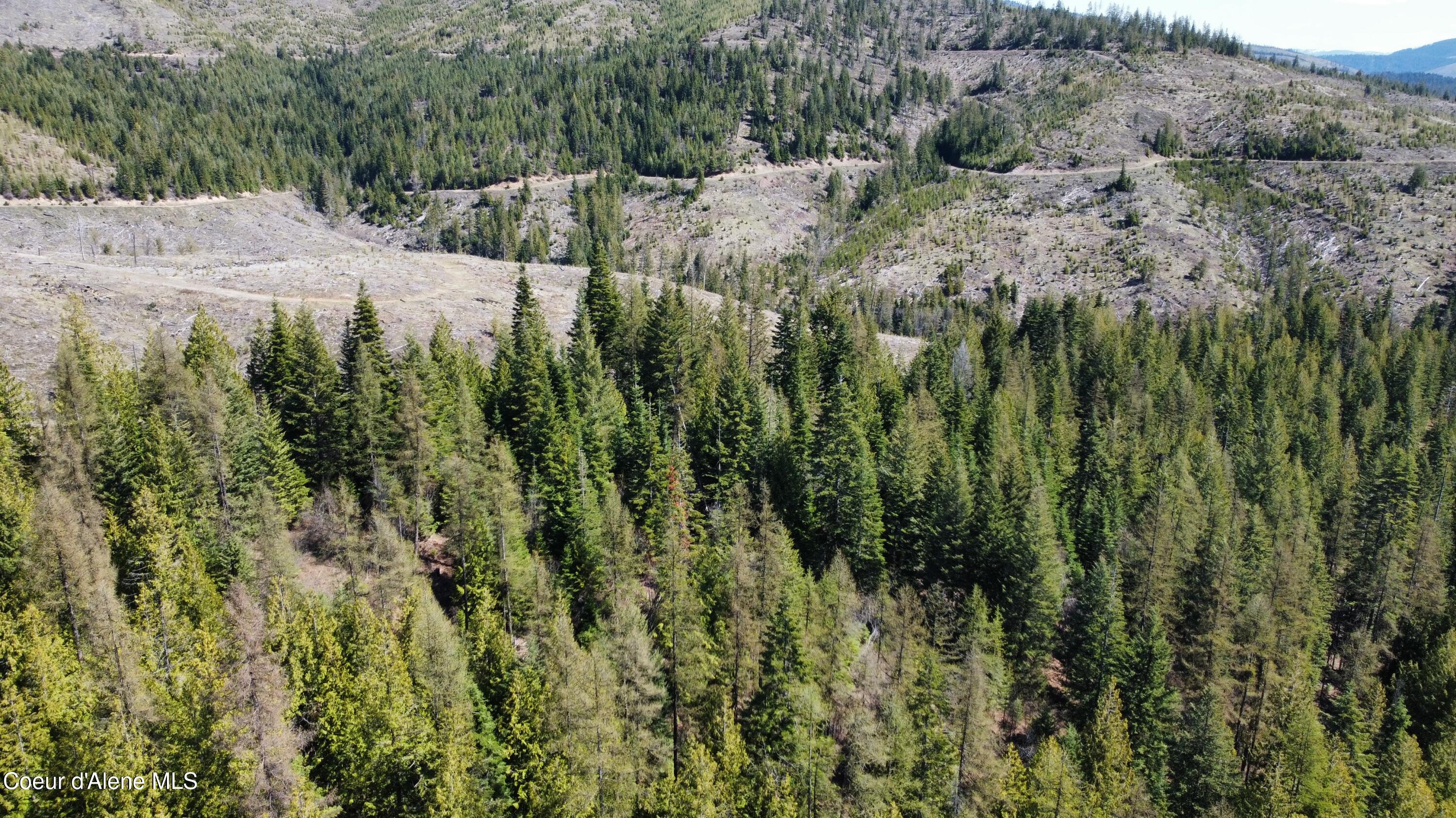 Nka Alder Creek Road St. Maries, ID 83861 - Photo 15 of 16 dji_fly_20250423_110854_709_174543216819