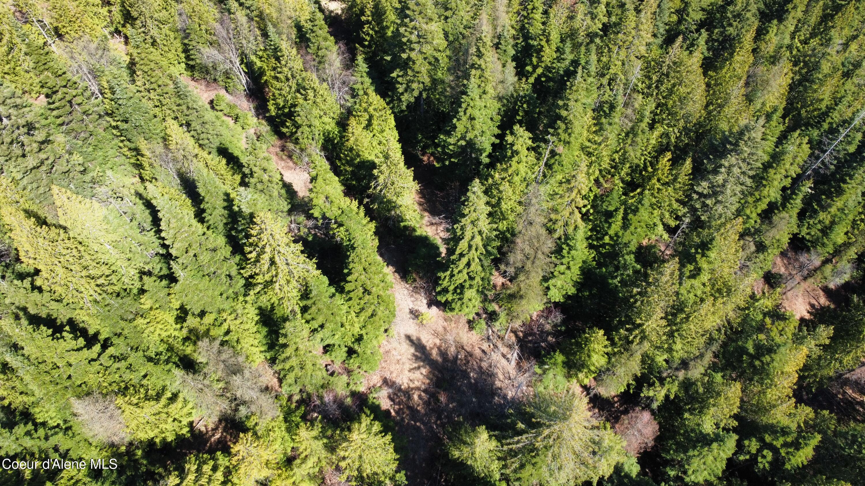Nka Alder Creek Road St. Maries, ID 83861 - Photo 16 of 16 dji_fly_20250423_111040_712_174543216494