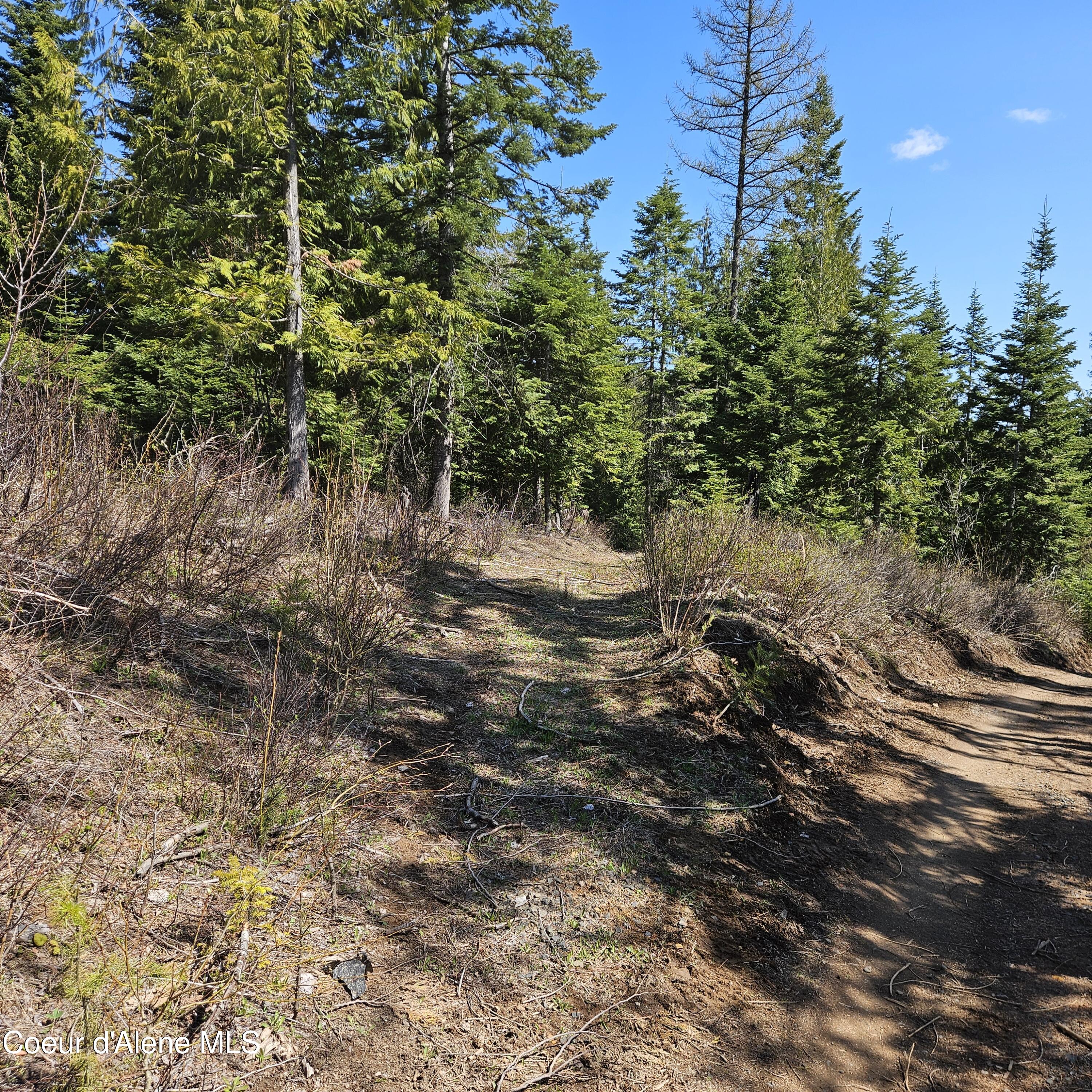 Nka Alder Creek Road St. Maries, ID 83861 - Photo 2 of 16 20250423_112313