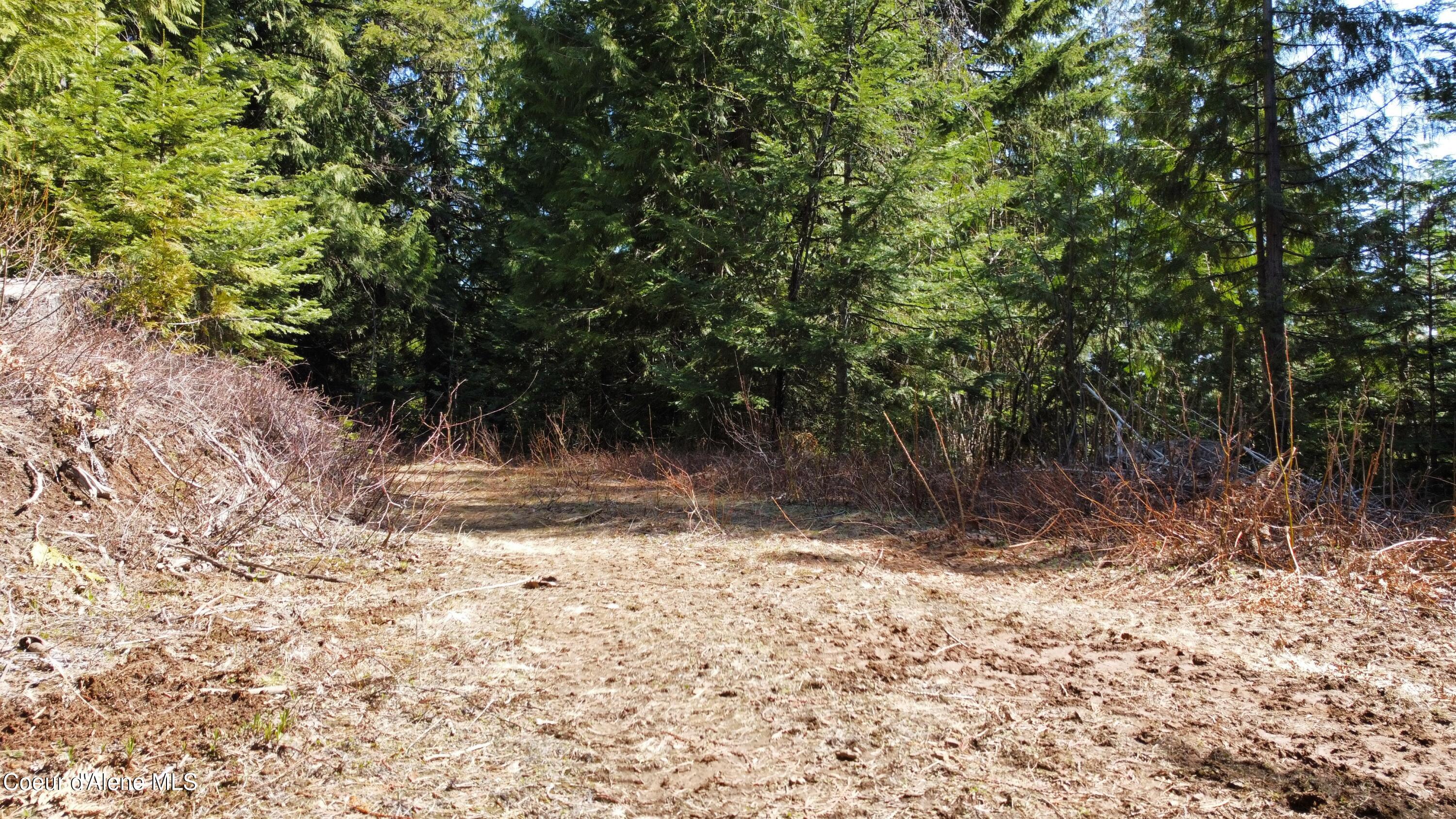 Nka Alder Creek Road St. Maries, ID 83861 - Photo 3 of 16 dji_fly_20250423_110714_704_174543217990