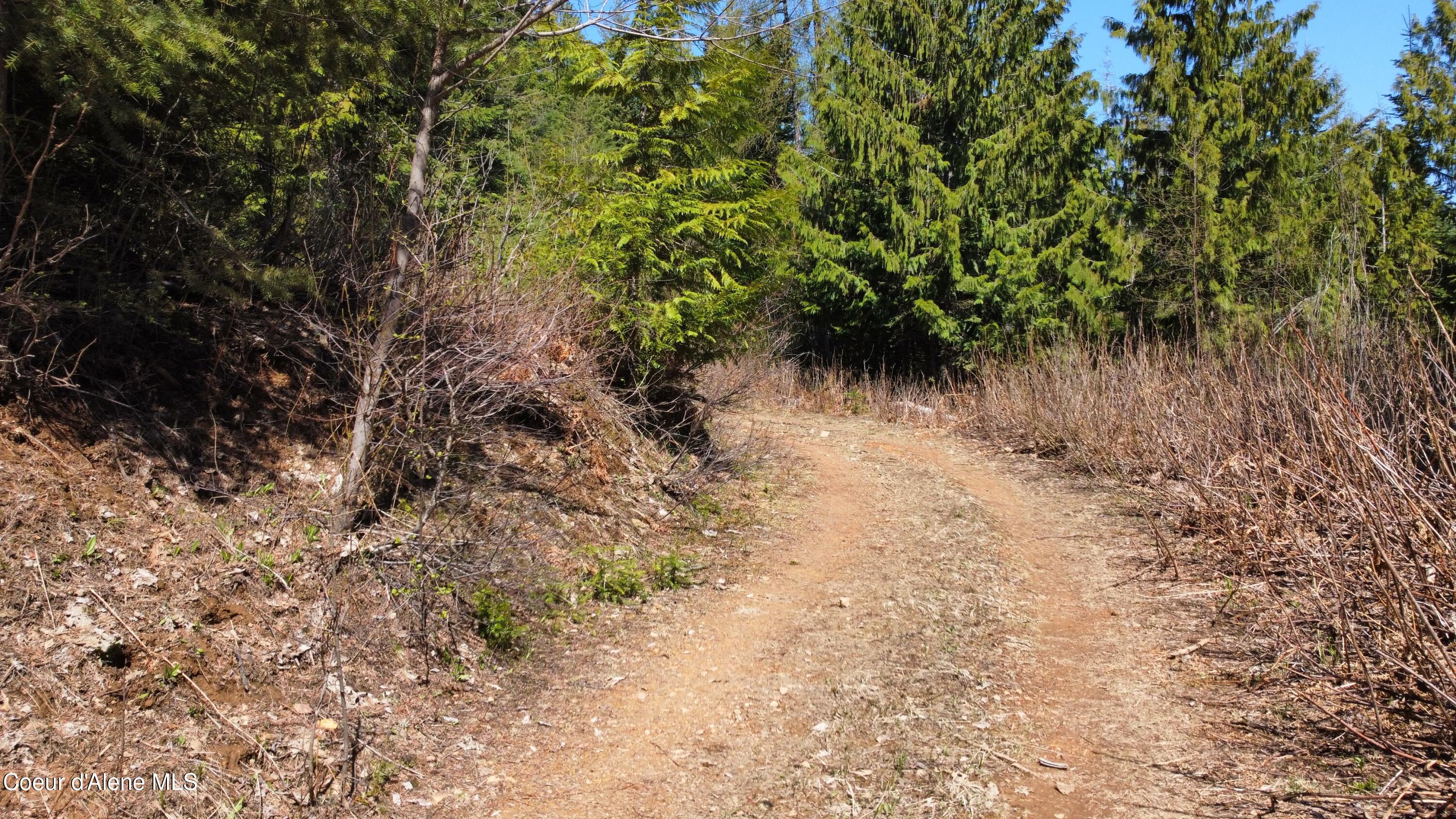 Nka Alder Creek Road St. Maries, ID 83861 - Photo 4 of 16 dji_fly_20250423_111528_718_174543215494